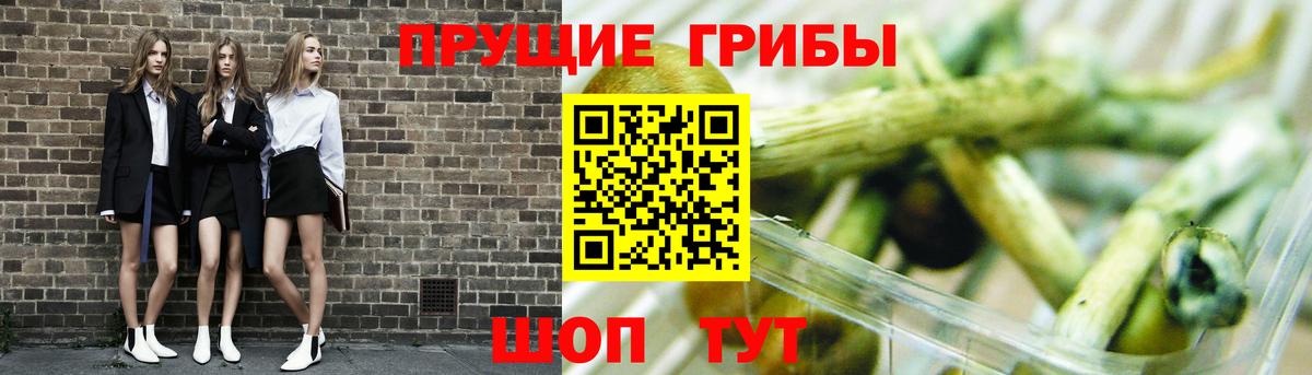 Псилоцибиновые грибы Psilocybine cubensis  Вход с VPN  Тавда 