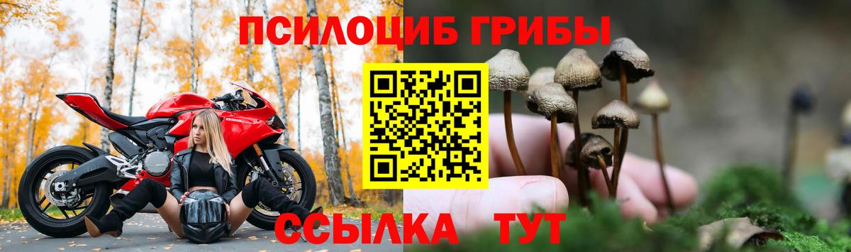 Галлюциногенные грибы MAGIC MUSHROOMS Тавда
